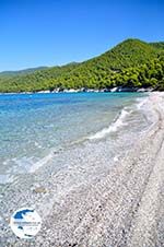 Milia | Skopelos Sporades | Greece  Photo 14 - Photo GreeceGuide.co.uk