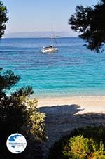 Kastani | Skopelos Sporades | Greece  Photo 2 - Photo GreeceGuide.co.uk