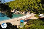 Kastani | Skopelos Sporades | Greece  Photo 4 - Photo GreeceGuide.co.uk