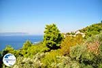 Palio Klima (Old Klima) | Skopelos Sporades | Greece  Photo 4 - Photo GreeceGuide.co.uk