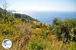 Palio Klima (Old Klima) | Skopelos Sporades | Greece  Photo 18 - Photo GreeceGuide.co.uk