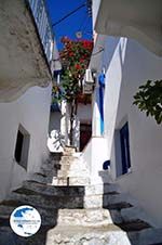 Glossa | Skopelos Sporades | Greece  Photo 20 - Photo GreeceGuide.co.uk