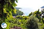 Beaches Kastani and Milia |Skopelos Sporades | Greece  Photo 1 - Photo GreeceGuide.co.uk