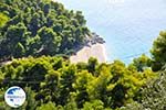 Beaches Kastani and Milia |Skopelos Sporades | Greece  Photo 2 - Photo GreeceGuide.co.uk