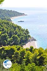 Beaches Kastani and Milia |Skopelos Sporades | Greece  Photo 3 - Photo GreeceGuide.co.uk