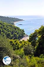 Beaches Kastani and Milia |Skopelos Sporades | Greece  Photo 4 - Photo GreeceGuide.co.uk