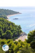 Beaches Kastani and Milia |Skopelos Sporades | Greece  Photo 5 - Photo GreeceGuide.co.uk