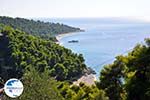 Beaches Kastani and Milia |Skopelos Sporades | Greece  Photo 6 - Photo GreeceGuide.co.uk