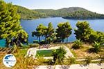 Panormos Skopelos | Sporades | Greece  Photo 17 - Photo GreeceGuide.co.uk