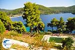 Panormos Skopelos | Sporades | Greece  Photo 18 - Photo GreeceGuide.co.uk