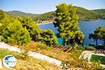 Panormos Skopelos | Sporades | Greece  Photo 19 - Photo GreeceGuide.co.uk