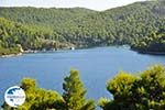 Panormos Skopelos | Sporades | Greece  Photo 20 - Photo GreeceGuide.co.uk