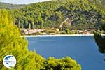 Panormos Skopelos | Sporades | Greece  Photo 21 - Photo GreeceGuide.co.uk