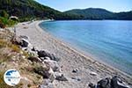 Panormos Skopelos | Sporades | Greece  Photo 23 - Photo GreeceGuide.co.uk