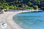 Panormos Skopelos | Sporades | Greece  Photo 24 - Photo GreeceGuide.co.uk