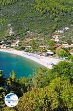 Panormos Skopelos | Sporades | Greece  Photo 25 - Photo GreeceGuide.co.uk