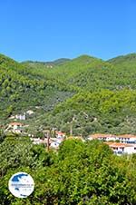 Panormos Skopelos | Sporades | Greece  Photo 28 - Photo GreeceGuide.co.uk