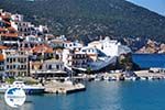 Skopelos town | Sporades | Greece  Photo 101 - Photo GreeceGuide.co.uk