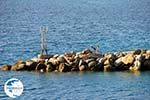 The harbour of Loutraki Skopelos | Sporades | Greece  Photo 1 - Photo GreeceGuide.co.uk