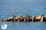 The harbour of Loutraki Skopelos | Sporades | Greece  Photo 1 - Photo GreeceGuide.co.uk