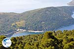 View to bay Pefkos | Agios Panteleimon | Skyros Photo 2 - Photo GreeceGuide.co.uk