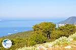 View to bay Pefkos | Agios Panteleimon | Skyros Photo 4 - Photo GreeceGuide.co.uk