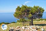 View to bay Pefkos | Agios Panteleimon | Skyros Photo 9 - Photo GreeceGuide.co.uk