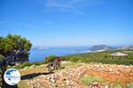 View to bay Pefkos | Agios Panteleimon | Skyros Photo 10 - Photo GreeceGuide.co.uk