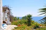 Kat near Molos and Magazia near Skyros town | Skyros Greece Photo 2 - Photo GreeceGuide.co.uk