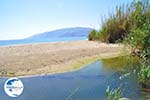 Near Molos and Magazia | Skyros Greece Photo 6 - Photo GreeceGuide.co.uk