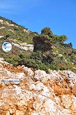 From Kalamitsa to Vouno | The zuiden of Skyros Photo 5 - Photo GreeceGuide.co.uk