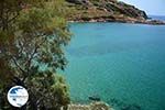 beach Lotos near Kini | Syros | Greece Photo 61 - Photo GreeceGuide.co.uk