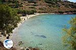 beach Lotos near Kini | Syros | Greece Photo 63 - Photo GreeceGuide.co.uk