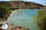 beach Lotos near Kini | Syros | Greece Photo 64 - Photo GreeceGuide.co.uk