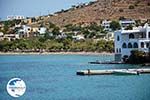 Posidonia | Syros | Greece nr 2 - Photo GreeceGuide.co.uk