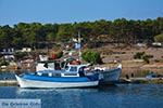 Island of Telendos - Dodecanese islands photo 47 - Photo GreeceGuide.co.uk