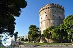 White Tower - Lefkos Pirgos | Thessaloniki Macedonia | Greece  Photo 9 - Photo GreeceGuide.co.uk