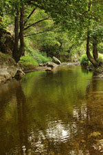 Patermos Rodopi | Greece | Foto 1 - Photo Region of Eastern Macedonia and Thrace