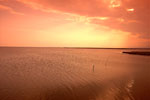 Delta Evros | Greece | Foto 4 - Photo Region of Eastern Macedonia and Thrace