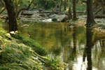 Waterfalls Samothrace (Samothraki) | Greece | Foto 1 - Photo Region of Eastern Macedonia and Thrace