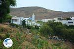 Aetofolia and Kalloni Tinos | Greece | Photo 4 - Photo GreeceGuide.co.uk