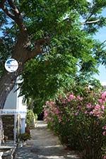 Agapi Tinos | Greece | Greece  Photo 26 - Photo GreeceGuide.co.uk