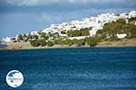 Agios Sostis Tinos | Greece Photo 28 - Photo GreeceGuide.co.uk