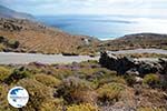  near Agios Ioannis Porto | Tinos Greece Photo 14 - Photo GreeceGuide.co.uk