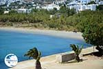 Agios Ioannis Porto | Tinos Greece Photo 18 - Photo GreeceGuide.co.uk