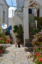 Falatados near Exomvourgo Tinos | Greece | Photo 22 - Photo GreeceGuide.co.uk