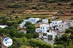 Komi Tinos | Perastra | Greece Photo 3 - Photo GreeceGuide.co.uk