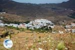 Pyrgos Tinos | Greece | Fotto 2 - Photo GreeceGuide.co.uk