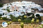 Pyrgos Tinos | Greece | Fotto 3 - Photo GreeceGuide.co.uk