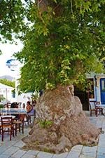 Pyrgos Tinos | Greece | Fotto 27 - Photo GreeceGuide.co.uk